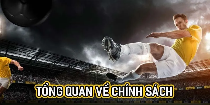 Tổng quan về chính sách